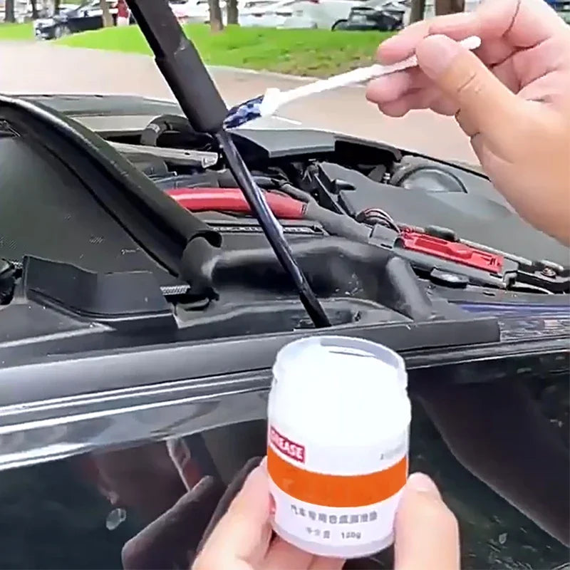 Car door lubricant 100g, sunroof track door anti noise, rust prevention, anti ja